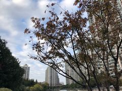 -苏州河梦清园环保主题公园