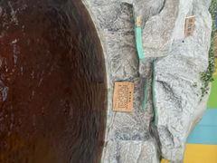 -爱江山温泉(凌奥店)