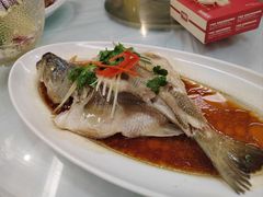 -不倒翁·安徽名菜楼(步行街店)
