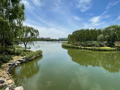 -大兴滨河森林公园