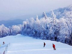 -亚布力新体委滑雪场