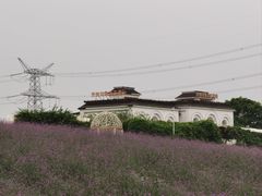 -紫颐香薰山谷景区