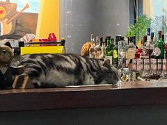 -咖法森林·咖啡  酒吧(天河店)