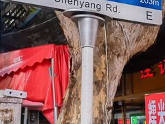 -汪记鲜鱼糊汤粉(沈阳路总店)