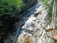 -青峰峡国家森林公园