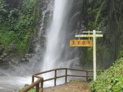 -莫里热带雨林景区