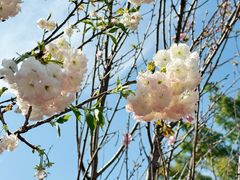 -观澜湖生态运动公社