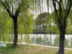 -阳澄湖半岛旅游度假区