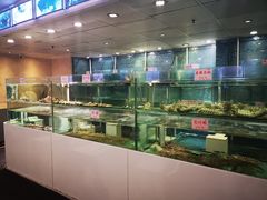 水产区-东国海鲜火锅城(氹仔店)