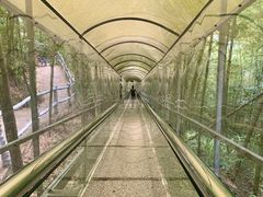 -千泷沟大瀑布旅游区