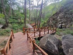 -大岭沟猕猴桃谷风景区