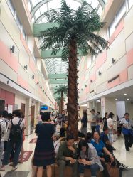 -复旦大学附属妇产科医院(杨浦院区)