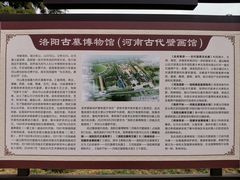 -洛阳古墓博物馆