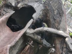 -长鹿旅游休博园