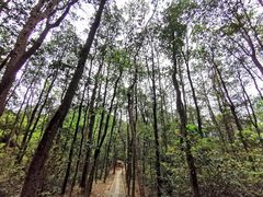 -中国茶叶博物馆(双峰馆区)