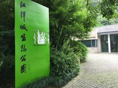 -西湖风景区-江洋畈生态公园