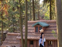 -南京银杏湖乐园