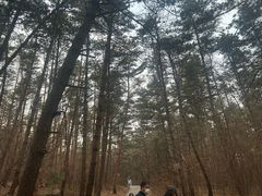 -帽儿山国家森林公园