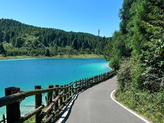 -武陵山森林公园