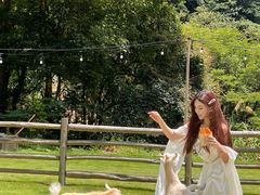 -龙岩森林水乡景区