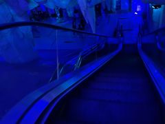 -石家庄海洋公园