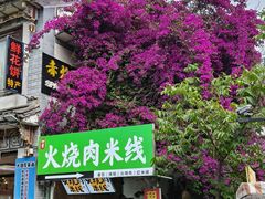 -大青树咖啡(大理古城店)