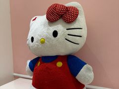 -安吉银润锦江城堡酒店(Hello Kitty主题乐园店)