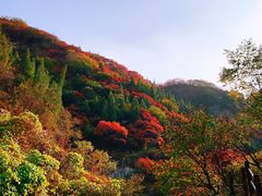 -黄花溪
