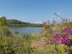 -鹤之洲湿地公园