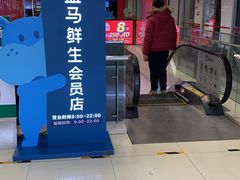-盒马鲜生(大成店)