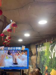 -卡通尼·Safari非洲探索乐园·生日会(金桥国际商业广场店)