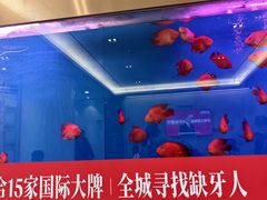 -牙博士口腔品牌连锁(杨浦店)