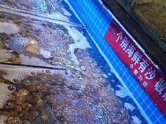 -醉御香渔家园(临沂路与大连路店)