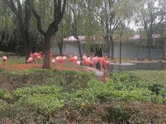 -石家庄市动物园