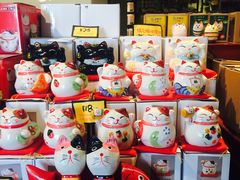 -猫咪博物馆(顶澳仔猫街店)