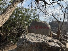 -紫金山山顶公园