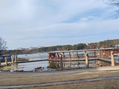 -昆山城市生态森林公园