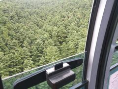 -苍山感通索道