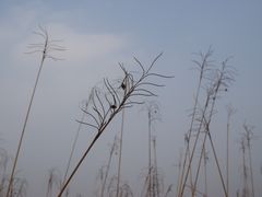 -钟山体育运动公园
