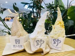 -野人先生Gelato(上海长宁龙之梦店)