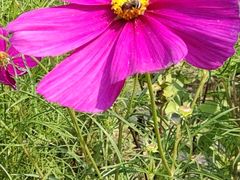 -野鸭湖国家湿地公园