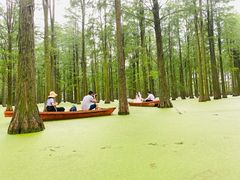 -渌洋湖湿地公园