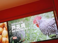 -俭寨大盘鸡·缸子肉·小公鸡·新疆菜(云通店)