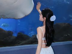 -合肥海洋世界