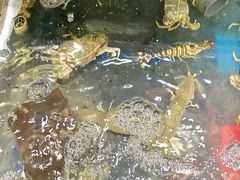 -晓琦农家菜馆·地道农家菜