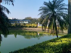 -中山大学学者灵芝(园南路店)