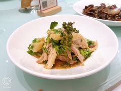 椒麻咸鸡-新吉士·上海菜(浦东LCM置汇旭辉店)