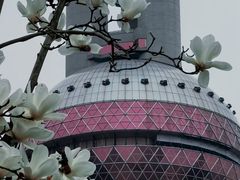 -陆家嘴中心绿地