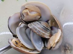 -明记海鲜大排档(巽寮湾店)