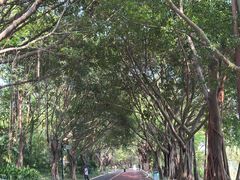 -南宁南湖公园